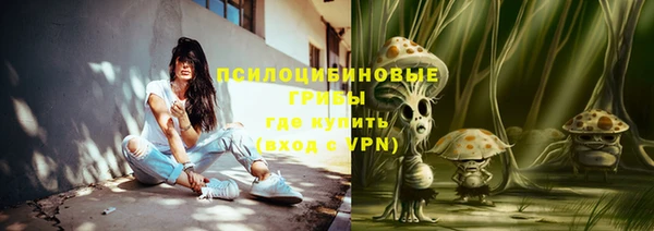 СК Белокуриха
