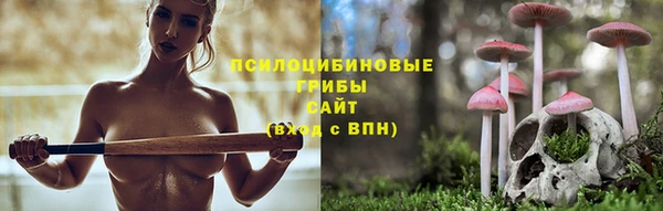 СК Белокуриха
