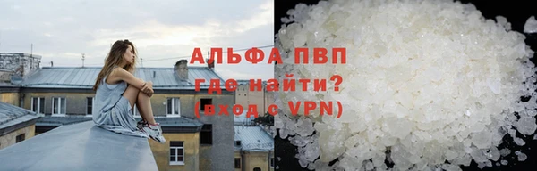 СК Белокуриха