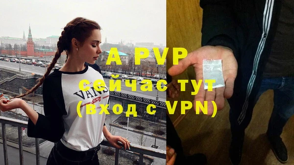 СК Белокуриха