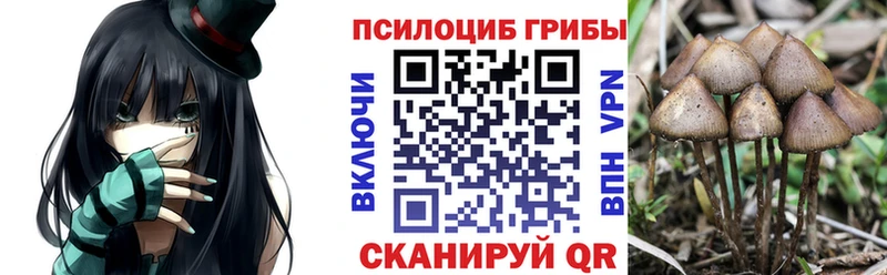 Купить где  Мегион  Псилоцибиновые грибы ЛСД 