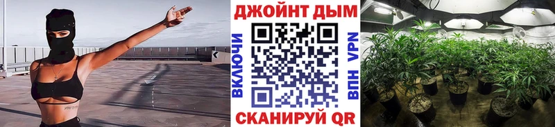 Купить где  Мегион  Шишки марихуана тримм 